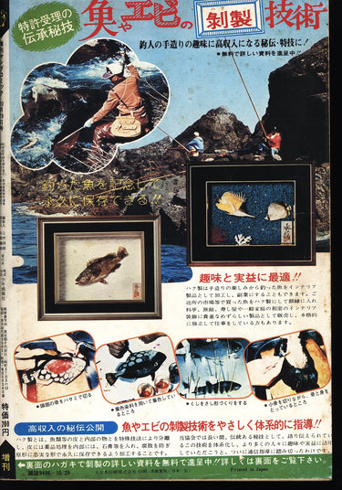 1976 年増刊ヤングコミックExtra Young Comic Oct 29 USA SELLER