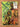 TEENAGE MUTANT NINJA TURTLES 1 JAPANESE USA SELLER