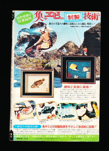 年増刊ヤングコミックExtra Young Comic Oct 29 1976