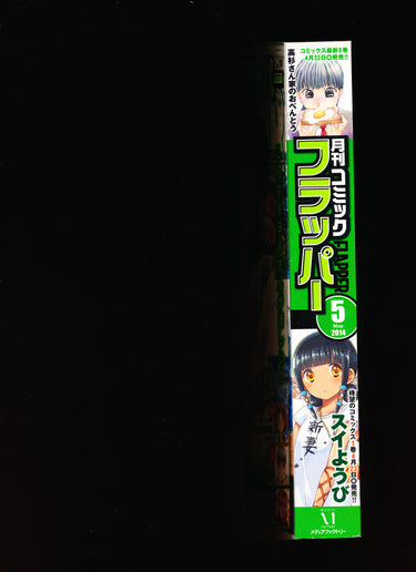 コミックフラッパー 2014年5月号 Comic Flapper May 2014 USA SELLER