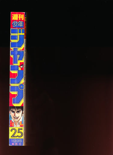 週刊少年ジャンプ WEEKLY SHONEN 25 1995