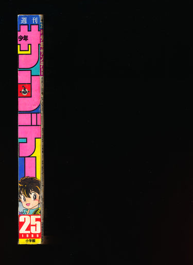 少年サンデー WEEKLY SHONEN SUNDAY 25 1989